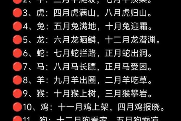 十二生肖命运密码:如何通过八字破解人生的暗藏玄机 十二生肖命运密码:如何通过八字破解人生的暗藏玄机