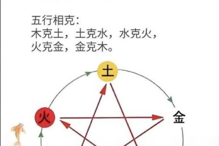 五行格局与缘字密码:揭秘性格解析中的神秘力量,你了解多少?