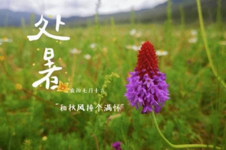探秘天文现象对农耕习俗的影响