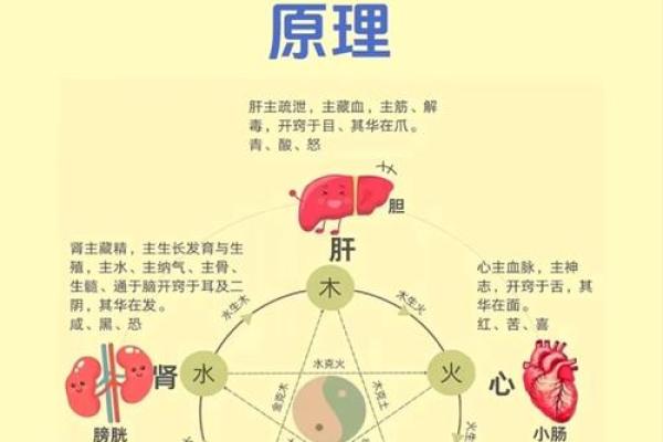 五行格局揭秘:性格背后的深层秘密,你了解多少? 五行格局揭秘:性格背后的深层秘密,你了解多少?