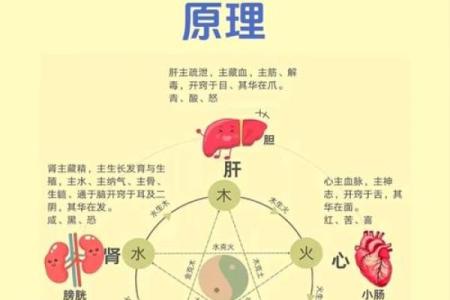 五行格局揭秘:性格背后的深层秘密,你了解多少?