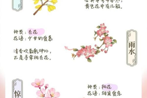 盛夏节气：从农耕祭典到天文现象的全景解读