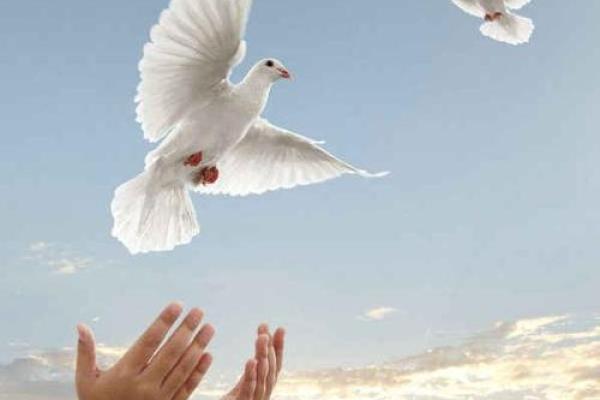 理数深藏秘密,如何运用它改变你的人生轨迹? 理数深藏秘密,如何运用它改变你的人生轨迹?