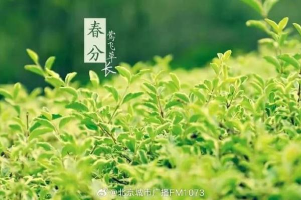 新疆节日中的天文现象与农耕时间表