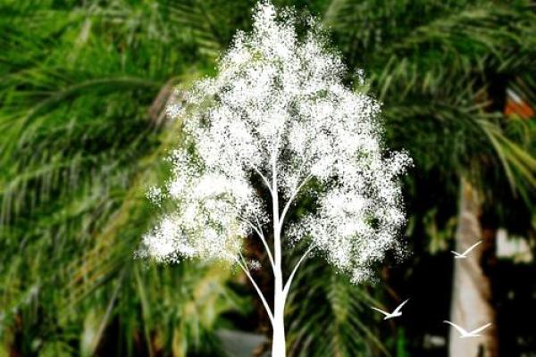 在种树节植下一棵树，守护地球的未来