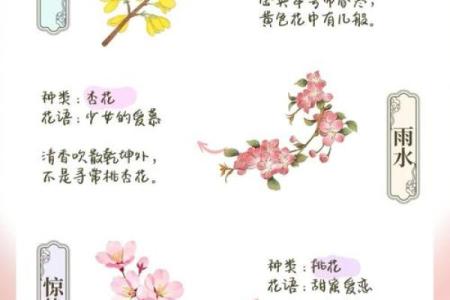盛夏节气:从农耕祭典到天文现象的全景解读