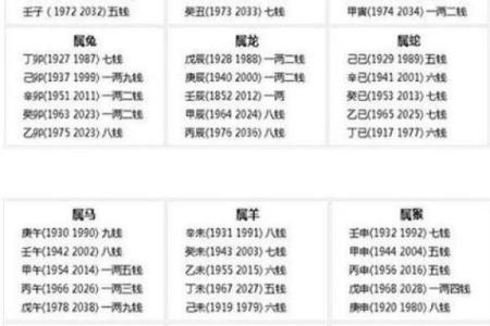 明星的八字命理：命运密码背后的深层秘密