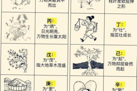 五行格局重塑术:揭秘如何通过晓五行改变命运轨迹