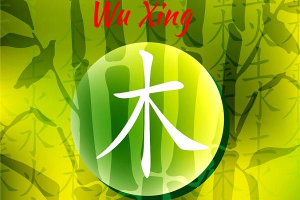 哈字五行格局揭秘:如何解析你的性格潜能? 哈字五行格局揭秘:如何解析你的性格潜能?