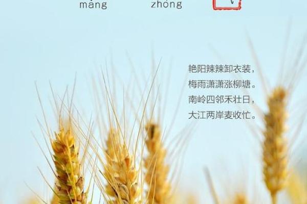 四时更替，生生不息：节日诗句中的农耕文化解读