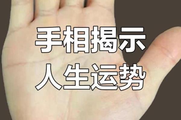 手心有肉手背没肉?命运密码揭示人生轨迹的秘密 手心有肉手背没肉?命运密码揭示人生轨迹的秘密