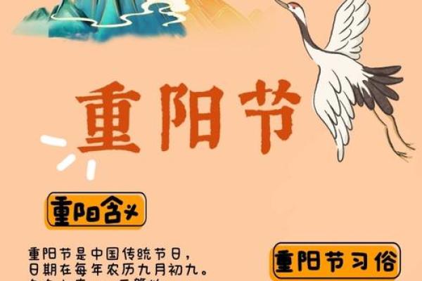 重阳节的文化底蕴与登高习俗对健康的影响 重阳节的文化底蕴与登高习俗对健康的影响