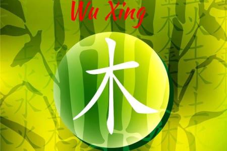 哈字五行格局揭秘：如何解析你的性格潜能？