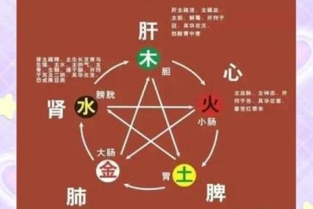 五行格局与性格解析:揭秘如何通过自我改变提升财运