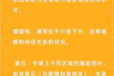 手心有肉手背没肉?命运密码揭示人生轨迹的秘密