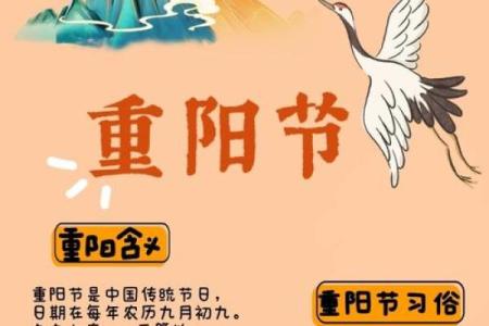 重阳节的文化底蕴与登高习俗对健康的影响