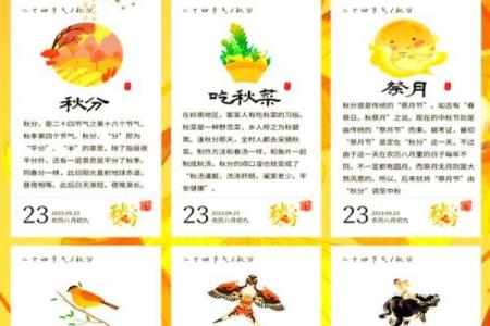 秋分：如何利用秋分调节作息与饮食