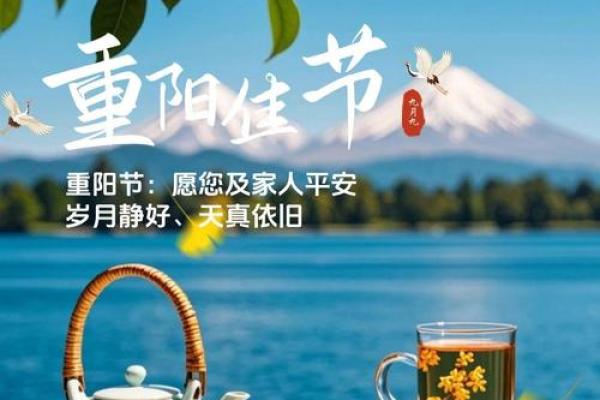 秋季养生必知,与你共度中秋与重阳的健康之道 秋季养生必知,与你共度中秋与重阳的健康之道
