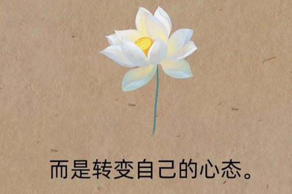 改变性格从五行格局开始:告别误区,拥抱真实自我 改变性格从五行格局开始:告别误区,拥抱真实自我
