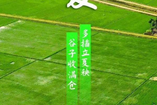 立夏节气，天文与农耕的深刻联系