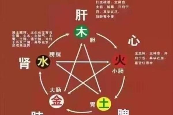 五行格局重塑术：实用指南教你如何改变自己的五行属性