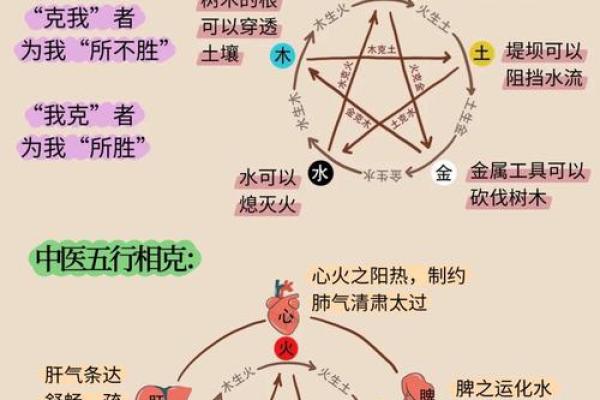 五行格局揭秘：南方的性格解析，如何发挥优势？