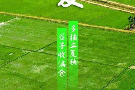 立夏节气,天文与农耕的深刻联系