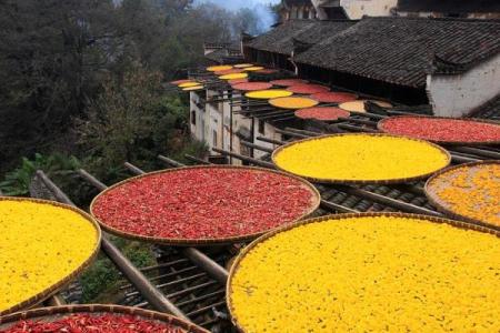 十月风土人情：庆祝秋季丰收的地方风俗