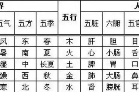 五行格局如何应用?茹五行带你探索性格解析新天地