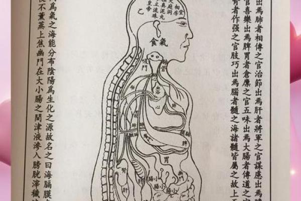 五行格局下的性格奥秘:揭秘你的友为何如此,如何改善相处之道? 五行格局下的性格奥秘:揭秘你的友为何如此,如何改善相处之道?