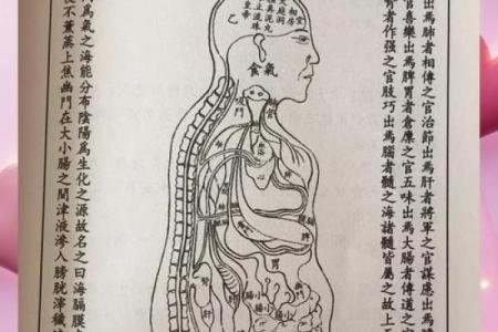 五行格局下的性格奥秘：揭秘你的友为何如此，如何改善相处之道？