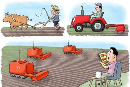 国际节日背后的农耕智慧与自然规律