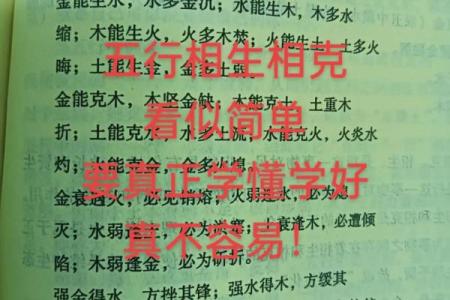 火属性性格颠覆性解析：揭秘如何从五行格局中突破自我