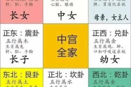 五行格局布局，实用技巧助你生活事业两得意