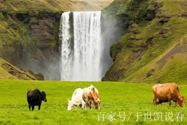 潇五行揭秘:性格解析中的反常现象,反而能助你成功? 潇五行揭秘:性格解析中的反常现象,反而能助你成功?