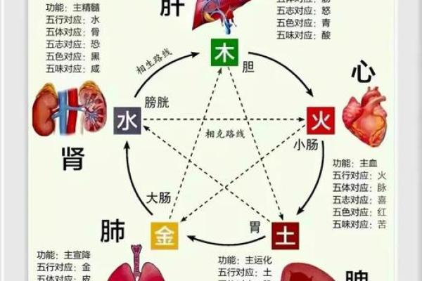 五行格局性格解析:揭秘你的内在力量,如何改变人生轨迹? 五行格局性格解析:揭秘你的内在力量,如何改变人生轨迹?