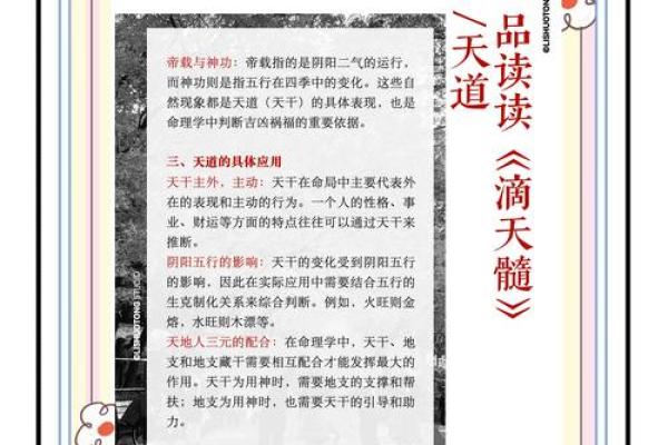 颠覆传统命理观念:命理三元如何改变你的人生轨迹 颠覆传统命理观念:命理三元如何改变你的人生轨迹