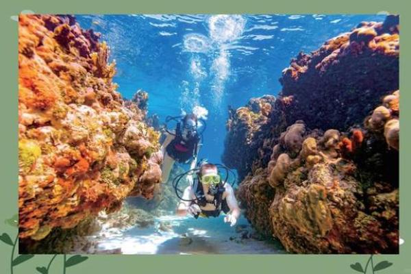 日本性节日：养生与自然界周期的独特交织