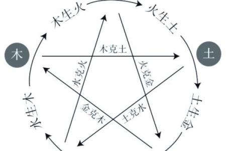 五行格局揭秘：你缺失的一环如何影响性格解析？