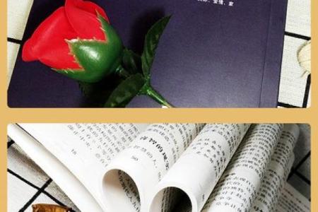 睦字五行格局揭秘：性格解析如何影响人际关系？