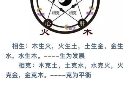 五行格局重塑术：学会如何利用五行，让你的性格焕然一新