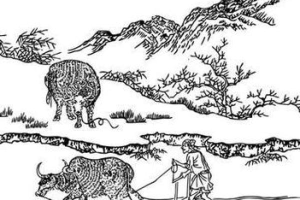 解密美国节日中的农耕元素与自然节律 解密美国节日中的农耕元素与自然节律