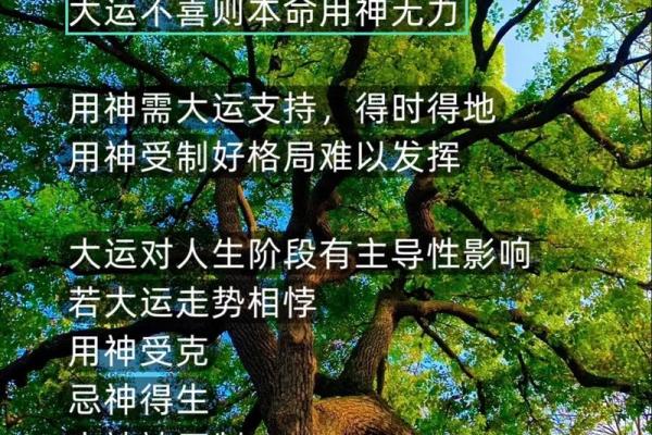揭开命运密码:八字命理中暗藏的玄机,如何改变你的未来? 揭开命运密码:八字命理中暗藏的玄机,如何改变你的未来?