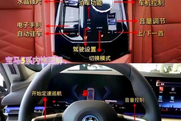 性格解析：宝马车型五行属性揭秘，你的座驾透露了什么？