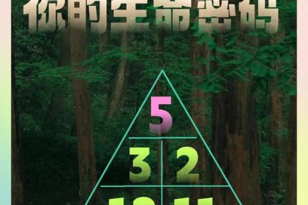 如何破解命运密码?命理守恒的真相与常见误区 如何破解命运密码?命理守恒的真相与常见误区