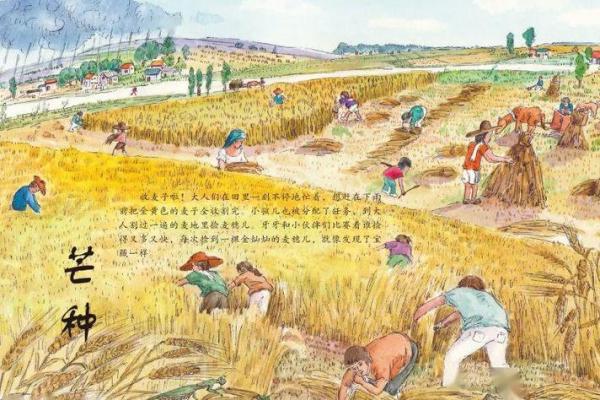 揭开回族节日背后的天文与农耕智慧 揭开回族节日背后的天文与农耕智慧