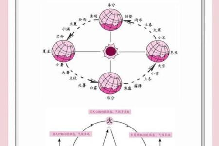 养生节气：如何根据节日调整饮食与作息