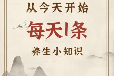 每个节日都是一场文化与养生的盛宴