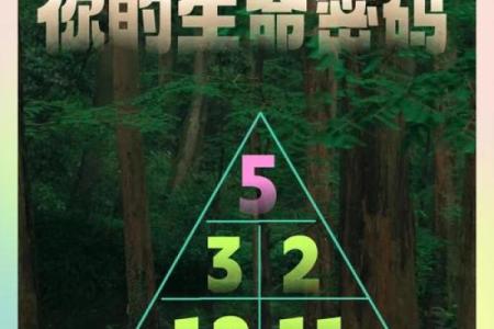 如何破解命运密码？命理守恒的真相与常见误区