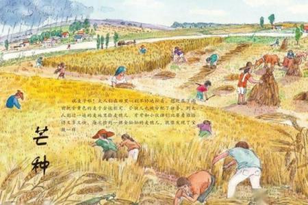 揭开回族节日背后的天文与农耕智慧